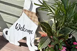 2263 Marsh Dr N, Mount Pleasant, SC 29466 - Photo 60