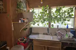 793 Finlay Ln, Cottageville, SC 29435 - Photo 18