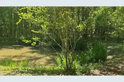 793 Finlay Lane, Cottageville, SC 29435 - Photo 20