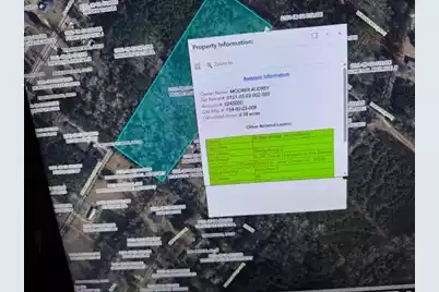 0 Moorecrum Road, Orangeburg, SC 29118 - Photo 1