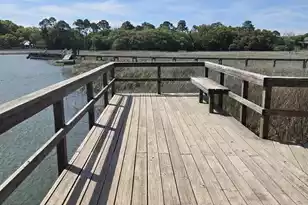 1338 Ellison Run, Charleston, SC 29412 - Photo 48