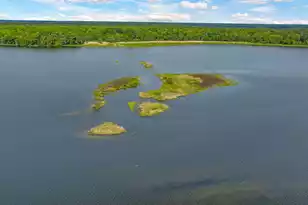 1010 Albert Storm Ave, Moncks Corner, SC 29461 - Photo 32