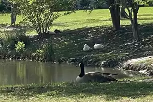 217 Dovetail Cir, Summerville, SC 29483 - Photo 46