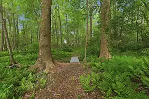 141 Beaverton Ct, Summerville, SC 29485 - Photo 36