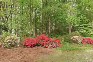 141 Beaverton Ct, Summerville, SC 29485 - Photo 40