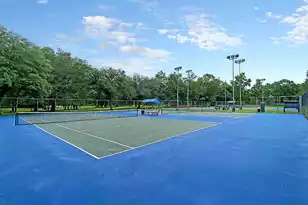 115 Challis Ct, Goose Creek, SC 29445 - Photo 64