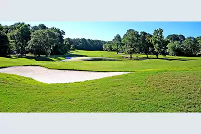 115 Challis Court, Goose Creek, SC 29445 - Photo 56