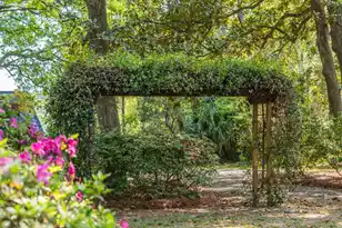 2227 Woodland Shores Rd, Charleston, SC 29412 - Photo 4