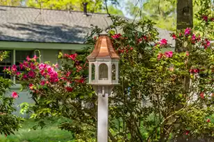 2227 Woodland Shores Rd, Charleston, SC 29412 - Photo 64