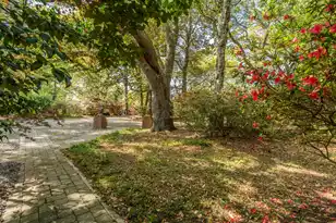 2227 Woodland Shores Rd, Charleston, SC 29412 - Photo 66