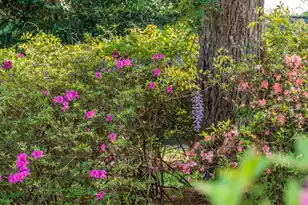 2227 Woodland Shores Rd, Charleston, SC 29412 - Photo 86