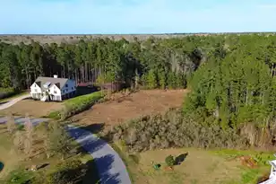 1321 Wood Sorrel Dr, Moncks Corner, SC 29461 - Photo 22