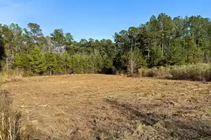 1321 Wood Sorrel Dr, Moncks Corner, SC 29461 - Photo 24