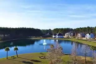 1321 Wood Sorrel Dr, Moncks Corner, SC 29461 - Photo 20