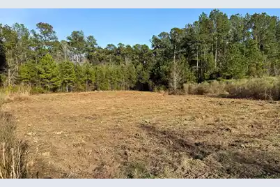 1321 Wood Sorrel Drive, Moncks Corner, SC 29461 - Photo 26