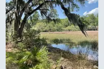 8119 Loafer Glory Lane S, Edisto Island, SC 29438 - Photo 1