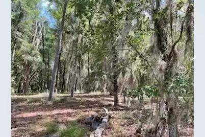 8119 Loafer Glory Lane S, Edisto Island, SC 29438 - Photo 38