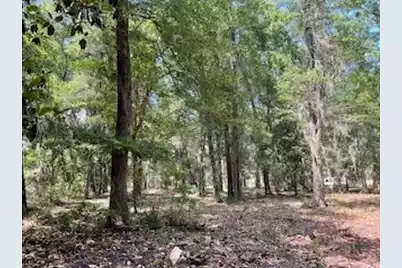 8119 Loafer Glory Lane S, Edisto Island, SC 29438 - Photo 10