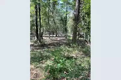 8119 Loafer Glory Lane S, Edisto Island, SC 29438 - Photo 48