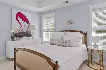 461 Bramson Court, Mount Pleasant, SC 29464 - Photo 28