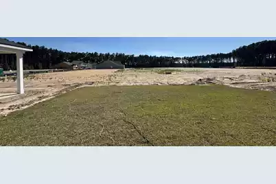 5360 Crinum Lilly Drive, Summerville, SC 29485 - Photo 30