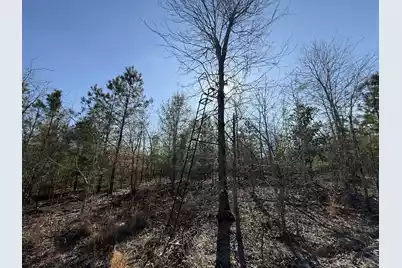 0000 Carolina 3 S, Barnwell, SC 29812 - Photo 16