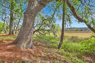 2340 Ashley River Rd, Charleston, SC 29414 - Photo 8