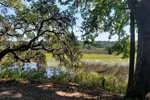 2340 Ashley River Rd, Charleston, SC 29414 - Photo 6