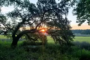 2340 Ashley River Rd, Charleston, SC 29414 - Photo 18