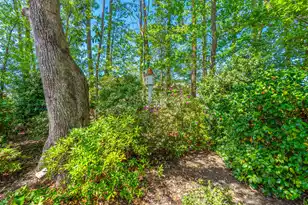 205 Weston Hall Dr, Summerville, SC 29483 - Photo 64