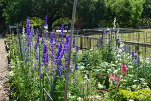 21 Hester St, Charleston, SC 29403 - Photo 52