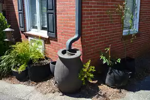 21 Hester Street, Charleston, SC 29403 - Photo 40