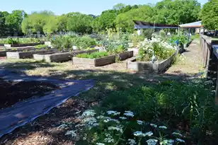 21 Hester St, Charleston, SC 29403 - Photo 50