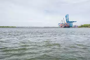 288 Molasses Ln, Mount Pleasant, SC 29464 - Photo 128