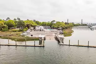 288 Molasses Ln, Mount Pleasant, SC 29464 - Photo 112