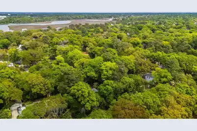 288 Molasses Lane, Mount Pleasant, SC 29464 - Photo 108
