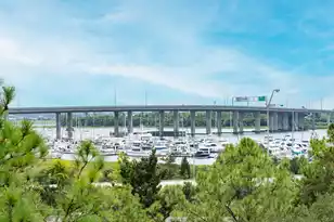 218 Congress St, Charleston, SC 29403 - Photo 40