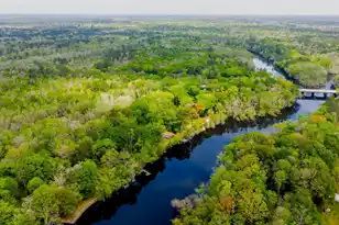 460 Trout Ln, Ridgeville, SC 29472 - Photo 72