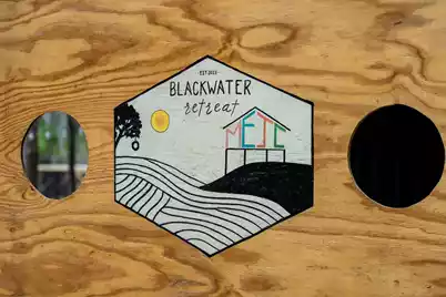 460 Trout Lane, Ridgeville, SC 29472 - Photo 4