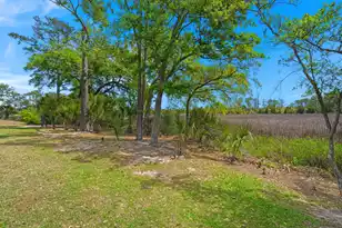 808 Forrest Dr, Charleston, SC 29492 - Photo 50