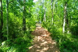 3195 Old Pond Rd, Johns Island, SC 29455 - Photo 32