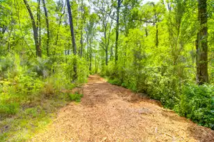 3195 Old Pond Rd, Johns Island, SC 29455 - Photo 34