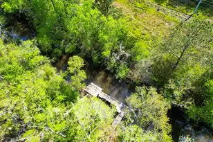 3195 Old Pond Rd, Johns Island, SC 29455 - Photo 22