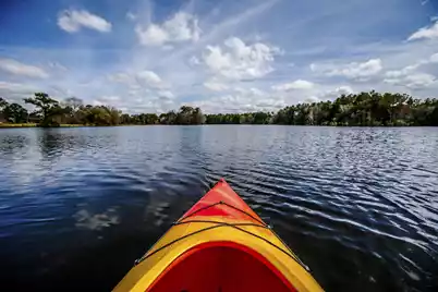 1037 Adirondack Drive, Summerville, SC 29485 - Photo 16