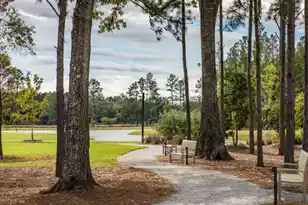 1037 Adirondack Dr, Summerville, SC 29485 - Photo 12