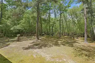 150 Franks Ln, Ridgeville, SC 29472 - Photo 2