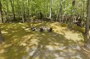 150 Franks Ln, Ridgeville, SC 29472 - Photo 8