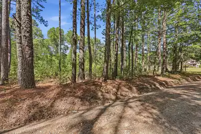 109 Love Lane, Summerville, SC 29486 - Photo 6