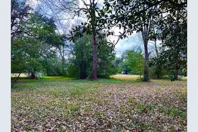 00 Brodie Street, Springfield, SC 29146 - Photo 4