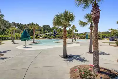 2536 Kings Gate Lane, Mount Pleasant, SC 29466 - Photo 52